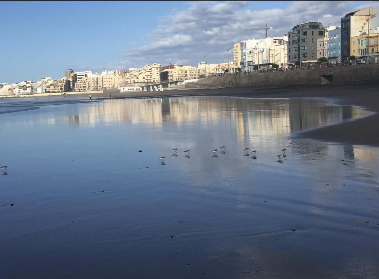 Apartment Canteras